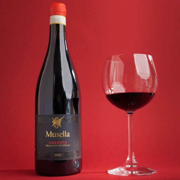 P1000384 Amarone della Valpolicella