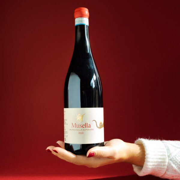 P1000500 Valpolicella Superiore Musella