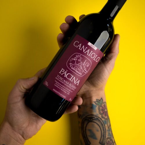 P1001103 Canaiolo Pacina Toscana Rosso