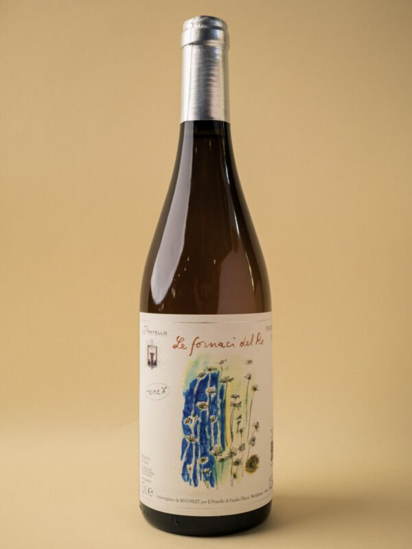 P1002088 Le Fornaci del Re Il Pratello