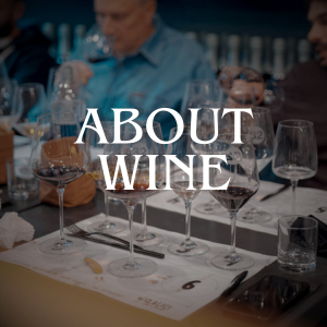 copertina about wine by qalici