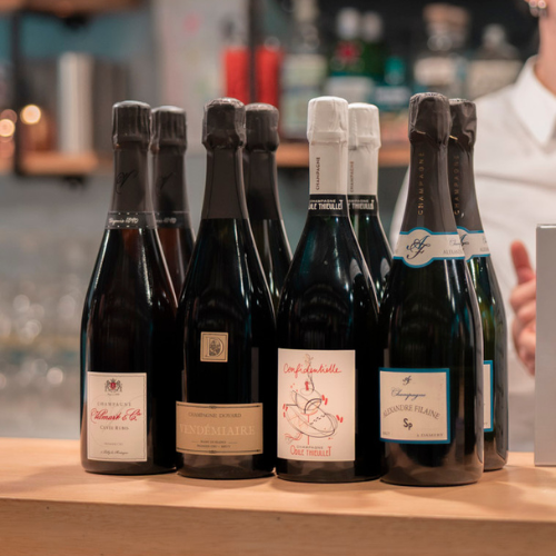 soft society soft clubbing by qalici vini e salumi